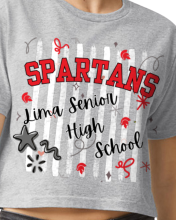 Striped LSHS Spirt Boxy T