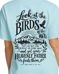 Matthew 6:26 T-shirt