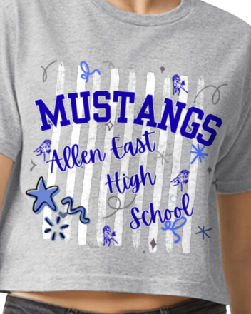 AEHS Mustangs Boxy T