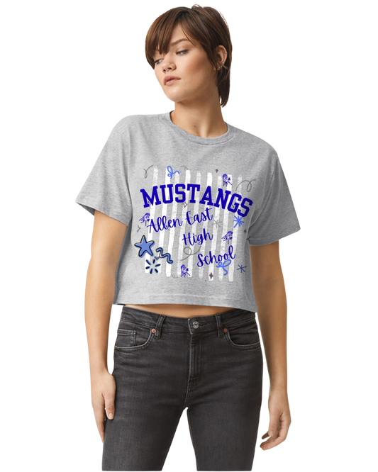 AEHS Mustangs Boxy T